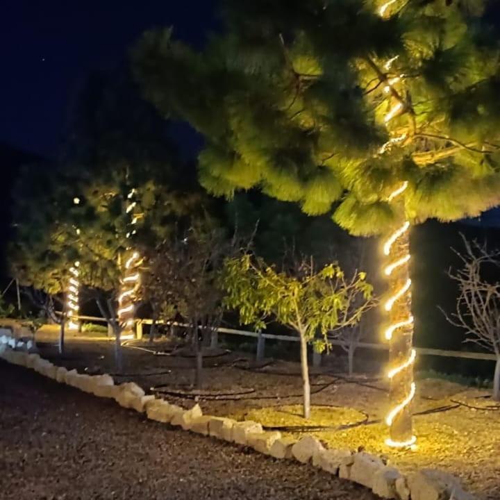 Finca La Baifa Санта-Крус-де-Тенеріфе Екстер'єр фото